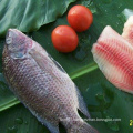 Frozen Tilapia Fish Whole Round Tilapia For Wholesale